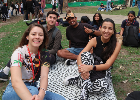 Students sitting on lawn